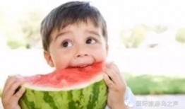 热门大瓜每日大赛 吃瓜网51官网版,吃瓜网51官网版带你领略娱乐圈风云变幻