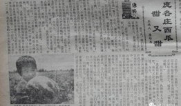 朝阳吃瓜群众网 潜规则全书,朝阳吃瓜群众网潜规则全书深度剖析