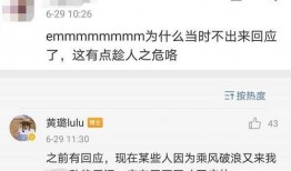 我真笨 明星资讯是什么意思,探寻明星真实一面